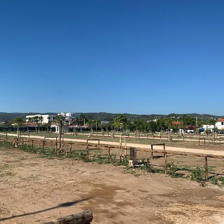Campsite Baia Pizzomunno Vieste